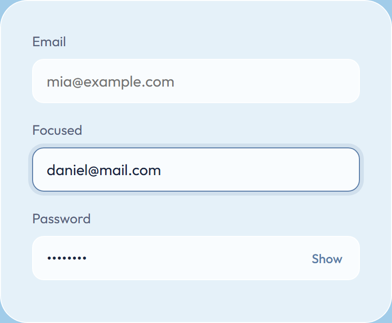 Email field, focused field and password field